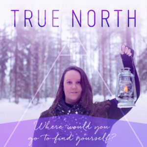 True North by Sonesence