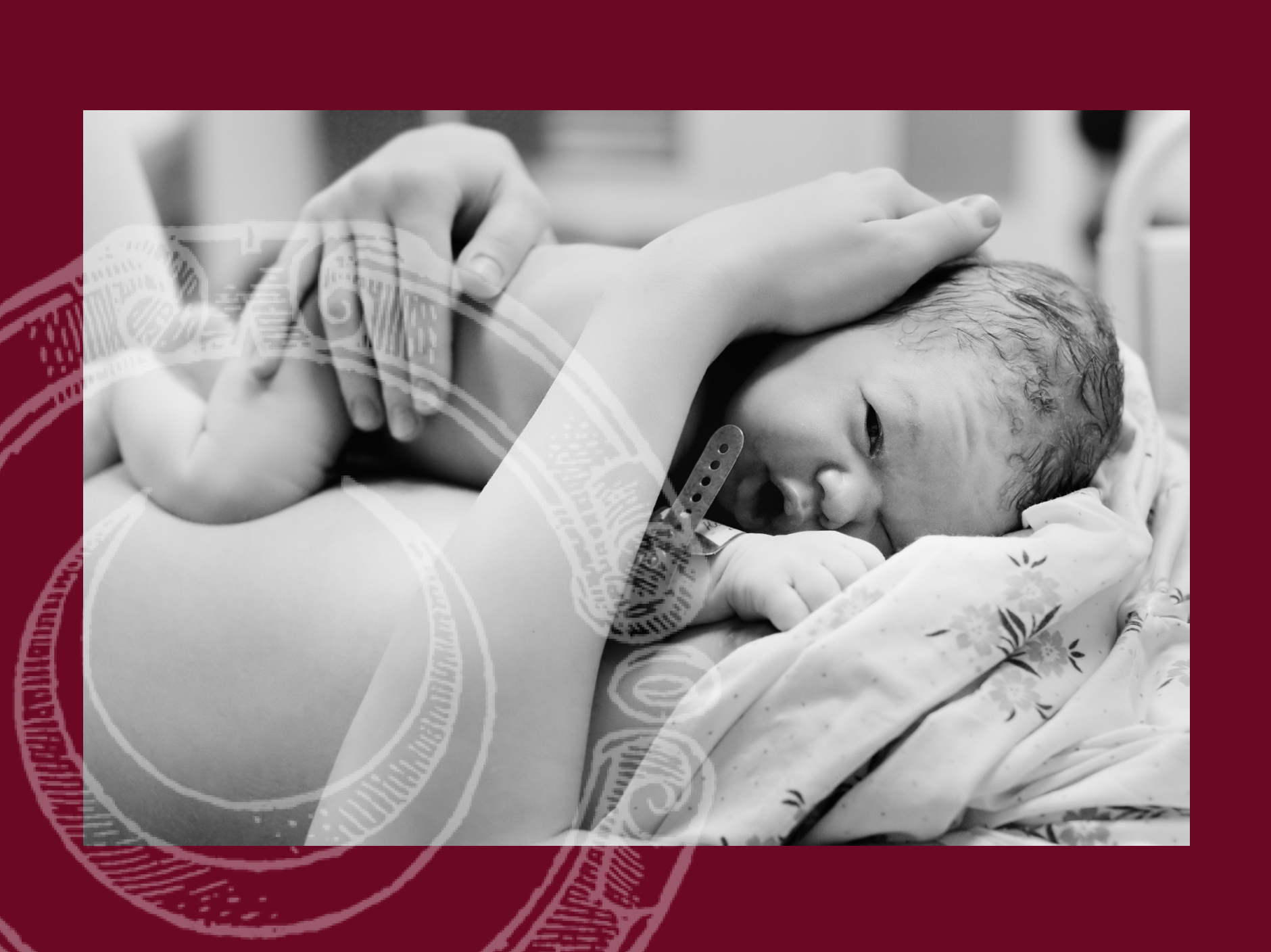 Dr Danielle Arabena Birth Doula Dr Danielle Arabena Birth Doula